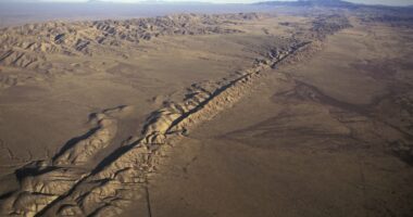 Looming catastrophe warning at America's quake hotspot