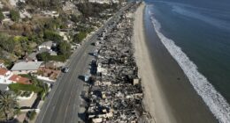 Malibu outraged after billionaire brothers buy up burned-out lots