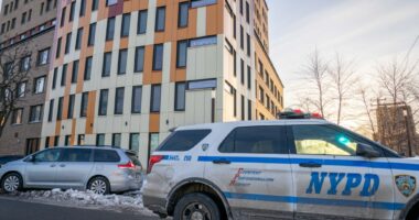 Man, 59, found dead in Queens apartment building with massive head injuries