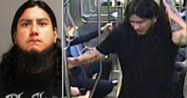Man accused of nearly beating Chicago train passenger to death walks free with no prison time: report