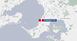 Man charged after police vehicle allegedly rammed