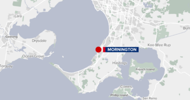 Man charged after police vehicle allegedly rammed