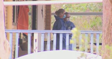 Alfar was not home when police made the grisly discovery, sparking a search for him.