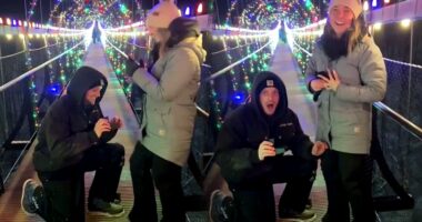Man drops engagement ring from 118-foot bridge during proposal, but there's a happy ending