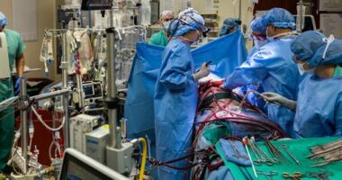 Man kept alive for 48 hours with lungs removed