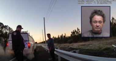 Man lures 11-year-old boy to campsite where he chokes him, ties him up with shoelaces and tapes his mouth shut, cops say