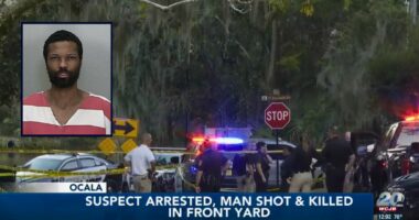 Man pulling weeds in his beloved garden shot in the back of the head in apparent 'random act of violence': Cops