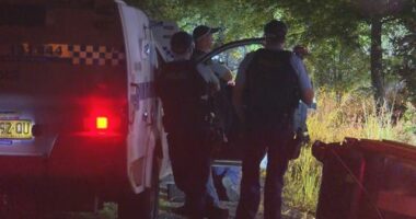 Man shot by police after dramatic end to NSW siege