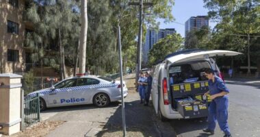 Man shot dead inside unit in Sydney's west