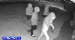 Man struck by machete and tree branch during alleged home invasion