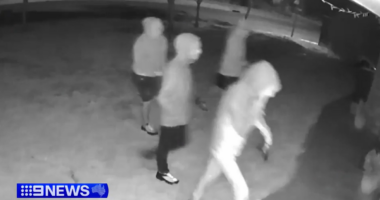 Man struck by machete and tree branch during alleged home invasion