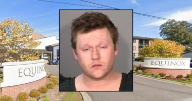 Man told rideshare driver his phone was covered in 'fish guts' after stabbing father-son duo: Police