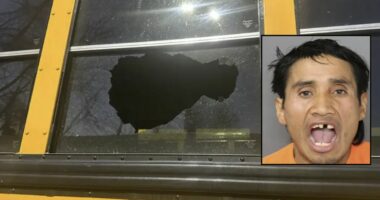 Man who chucked a rock at a school bus and fractured 8-year-old's skull has done it before: Police