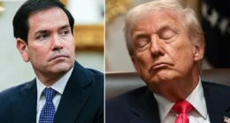 Marco Rubio 'cocoons like a mummy' in bizarre strategy to hide naps from Trump