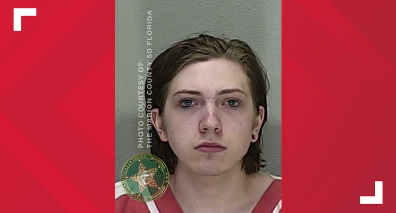 Marion County teen arrested for AI-generated child sexual abuse materials, police say