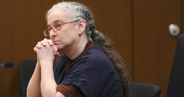 Marni Yang today: Woman convicted in 2011 killing of Chicago Bear Shaun Gayle's girlfriend Rhoni Reuter fighting for new trial