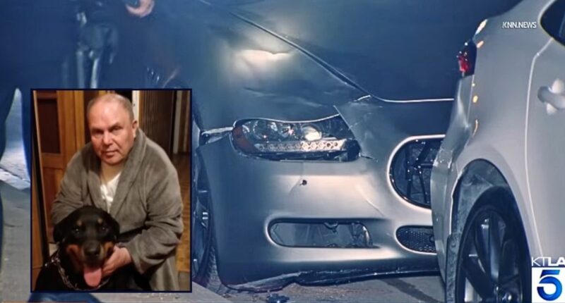 Maserati driver mowed down 80-year-old Holocaust survivor crossing street with service dog and killed them both, cops say