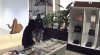 Massive luxury handbag heist caught on camera as heavily armed police swarm California store