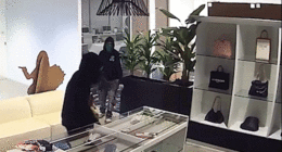 Massive luxury handbag heist caught on camera as heavily armed police swarm California store