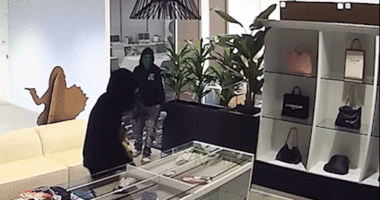 Massive luxury handbag heist caught on camera as heavily armed police swarm California store