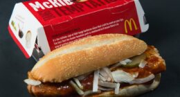 McDonald's faces class action lawsuit over fan favorite McRib sandwich