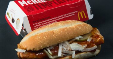 McDonald's faces class action lawsuit over fan favorite McRib sandwich
