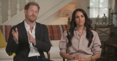 Meghan Markle and Prince Harry step back from children's harm prevention project