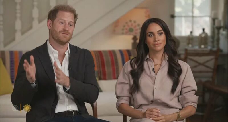 Meghan Markle and Prince Harry step back from children's harm prevention project