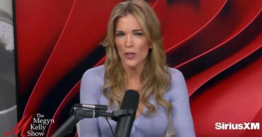 Megyn Kelly: I'm supposed to feel sorry for Alex Pretti - but I don't