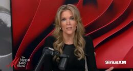 Megyn Kelly blasts Alex Pretti for 'stalking, harassing' ICE