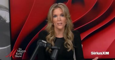 Megyn Kelly blasts Alex Pretti for 'stalking, harassing' ICE