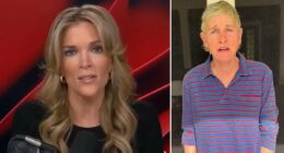 Megyn Kelly says Ellen DeGeneres hid bad behavior over anti-ICE video