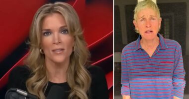 Megyn Kelly says Ellen DeGeneres hid bad behavior over anti-ICE video