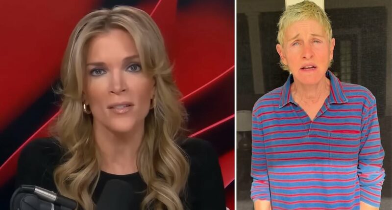 Megyn Kelly says Ellen DeGeneres hid bad behavior over anti-ICE video