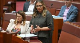 Mehreen Faruqi is slammed for branding extremely high-profile guest with two-word label after he was invited to visit Australia by Anthony Albanese