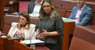 Mehreen Faruqi is slammed for branding extremely high-profile guest with two-word label after he was invited to visit Australia by Anthony Albanese