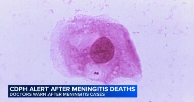 Meningococcal disease: 2 deaths, more cases that usual reported in meningitis outbreak, Chicago Department of Public Health warns