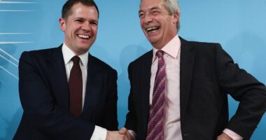 Message to Reform and Tories: Stop fighting and end Labour nightmare