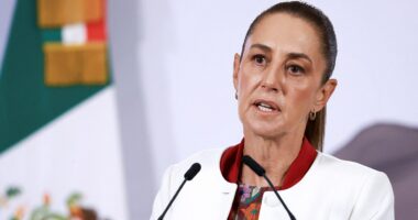 Mexican president rejects US sending troops to her country: 'I don't believe in an invasion'