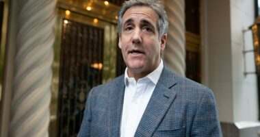 Michael Cohen was 'coerced to turn on Trump by two Dems'