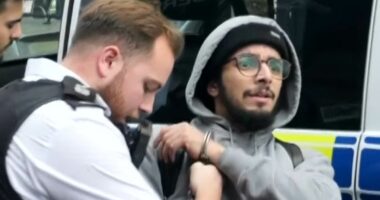 Migrant accidentally freed from prison sentenced  for attacking police