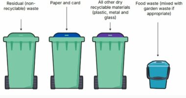 Millions of households face getting FOUR BINS within weeks