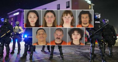 Minn anti-Border Patrol riot backfires as agitators allegedly hurl objects at cops, arrests expose rap sheets