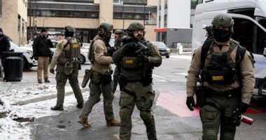 Minnesota police chiefs allege some ICE agents racially profiled US citizens, including off-duty officers