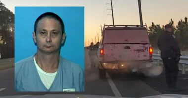 Missing child found with ‘pervert’ during chaotic traffic stop in Flagler County, sheriff says
