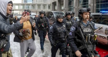 'Mob mentality' endangers officers amid anti-ICE unrest and chaos in Minneapolis, retired cops warn