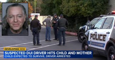Mom and 5-year-old walking through Trader Joe's parking lot plowed into by drunk pickup driver in the middle of the day: Police