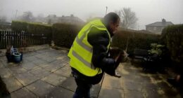 Moment Amazon delivery driver 'brazenly steals pet cat from doorstep'