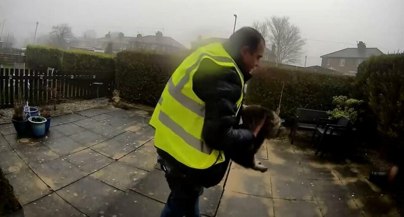 Moment Amazon delivery driver 'brazenly steals pet cat from doorstep'