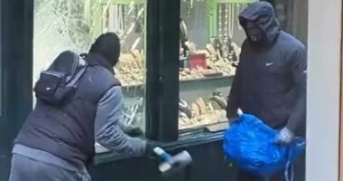 Moment hammer-wielding thugs break into family-run jewellers